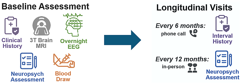 Graphical abstract for ELUCID: Late-Onset Unexplained Epilepsy as a Risk Factor for Cognitive Impairment and Dementia — A Multi-Center Prospective Longitudinal Study (Protocol and Data Resource)